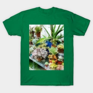 Greenhouse With Cactus T-Shirt